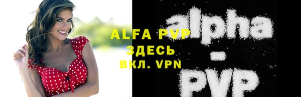твердый Лагань