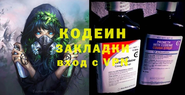 крисы Лабытнанги