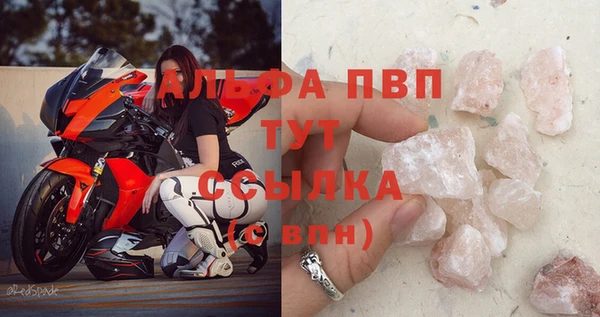 PSILOCYBIN Ладушкин