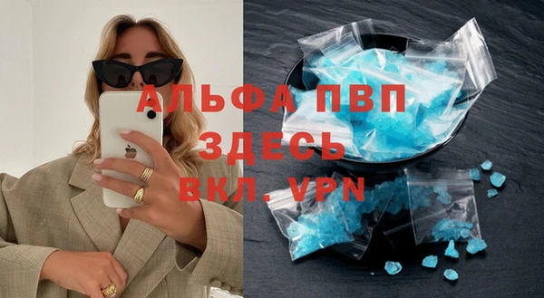 PSILOCYBIN Ладушкин