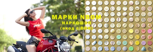 PSILOCYBIN Ладушкин