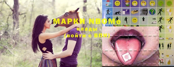 крисы Лабытнанги